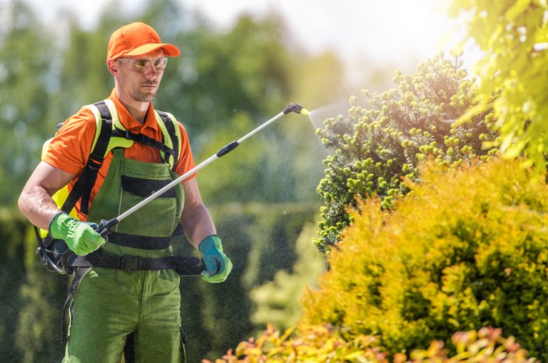 garden-pest-control-HERO-GettyImages-1159443165