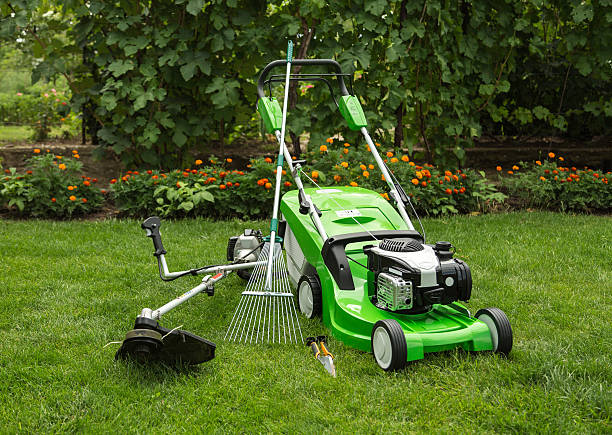 Green lawnmower, weed trimmer, rake and secateurs in the garden